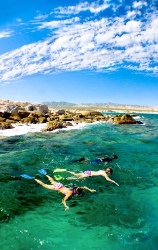 Snorkel en los cabos